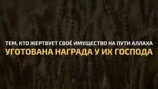 АбдурРахман аль-Али | Сура Аль-Бакара (Корова) | Красивое чтение Корана