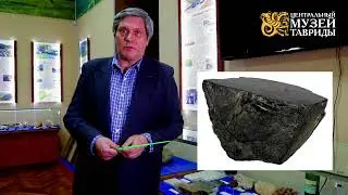 Бурый уголь и гагат в экспозиции Центрального музея Тавриды