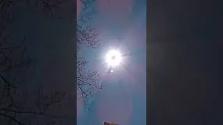 Sun Simulator☀️Red Petals!☀️