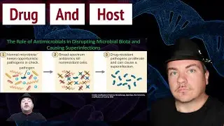 Interactions Between Drug and Host