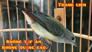 Tiếng ốc mít mái dùng kích trống