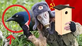 HOW TO MAKE SOVIET BIRDHOUSE