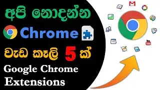 Useful Google Chrome Extensions | 5 Best Google Chrome Extensions | Sinhala