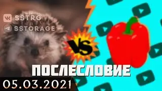 ‪@hedgehogfox‬
