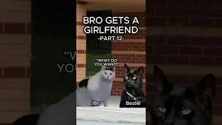 CAT MEMES 🐱 BRO GETS A GIRLFRIEND PT.12 #relatable #cat #catlover #relationship #shorts
