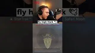 R.I.P ohnePixel 🕊️
