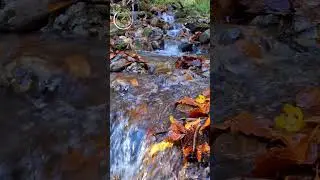 #naturespeakstoyou