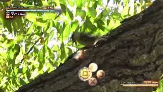 STANDING HERE I REALIZE YOU ARE JUST LIKE ME, CLINGING TO THIS TREE