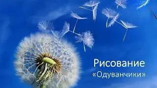 Рисование "Одуванчики"