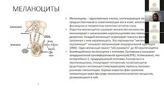 «Все о гиперпигментации. Симптомы, причины и тактика лечения».