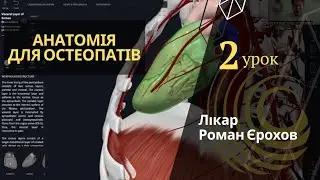 ПЕРИКАРД | АНАТОМИЯ ДЛЯ ОСТЕОПАТОВ | ДОКТОР РОМАН ЕРОХОВ | 2 урок
