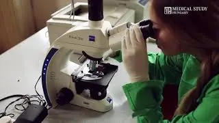 Medical Study - McDaniel College Budapest Campus