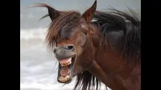 7 HEALTH BENEFITS OF LAUGHTER