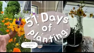 Moving Forward & Finding Strength as a Mom| Growing Season Ep.6