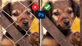 How to remove fences in Photoshop