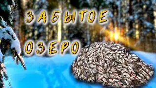 Забытое озеро. Рыбалка и туризм в Карелии.