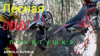 Лесная Enduro покатушка