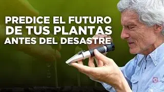 Anticipa los problemas antes de que destruyan tus cultivos