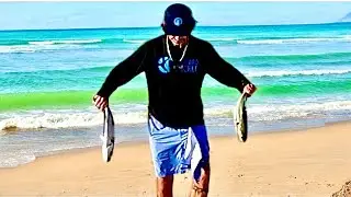 Sight Casting Florida Beach Fish One After Another. Perdido Key Surf Fishing.