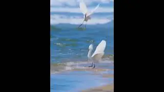 ЖенскоеСчастье#Любовь💞#всеВозможно#🫶🫶🫶