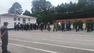 19 de abril de 2020