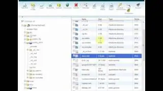 لوحة التحكم cPanel السي بانل
