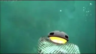 Pesca a poco fondo con Mito