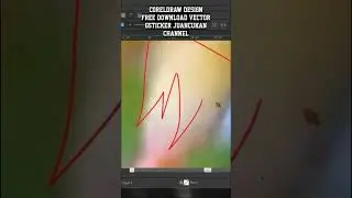 CANARI BIRD DESIGN VECTOR