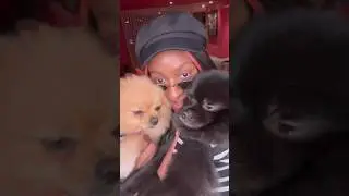 Jollof joy & canine companions🐾perfect blend of flavors and furry friendship tbh💃🏾#JollofOnTheJet