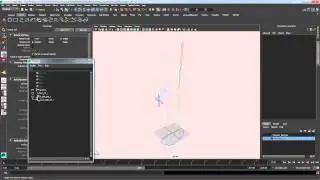 Part 2 Setting up the Pole Vector