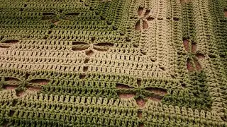 Part 1 - Top-Down Dragonfly Shawl - Crochet Tutorial!