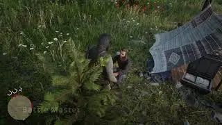 What happens if NPC runs out of ammo?  | Red Dead Redemption 2