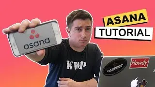 Asana Beginner Tutorial: How To Use Asana's Free Project Management Tool