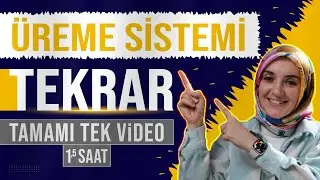 9) Üreme Sistemi FULL TEKRAR | 11. Sınıf Biyoloji | AYT Biyoloji Konu Anlatımı 9