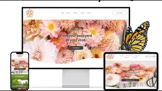 Get a Website That Attracts Success | The Agency