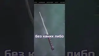 Сус Палочка 