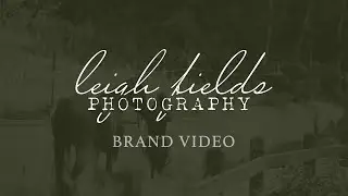 Leigh Fields Photography | Equine Photographer in TX + NC
