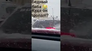 биба пропал😔😪😭