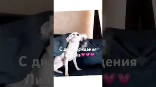 Да у Лилишки был день рождения вчера но отмечаем сегодня ещё будут видео про Лили ждите 💗💗💗💗💗💗