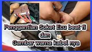 Color sequence of ECU ecm replacement cables for Beat Fi, Scoopy, ESP, Beat Street, Beat Pop
