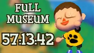 I Completed the Museum as Fast as Possible in Animal Crossing City Folk!