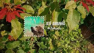 Drai - Até Amanhã