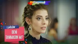 Renk Duygun’u tanımayan ilk canlı! - Rengarenk 1. Bölüm