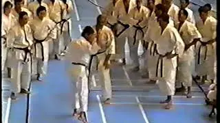 Yahara sensei henka-waza,  renzoku