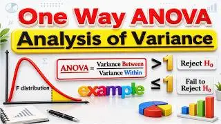 What is One Way ANOVA (Analysis of Variance) in Statistics | Explained with Examples