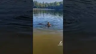 #лето