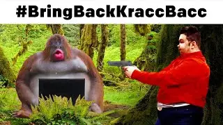 Kracc Bacc Gets Terminated