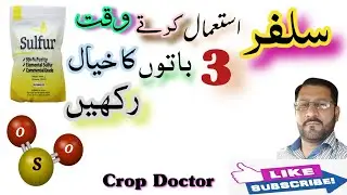 Importance & uses of Sulphur
