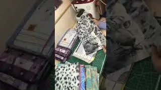 РАСПАКОВКА посылки с тканями с АВИТО