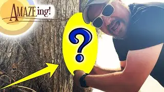 This geocache was (not so simply) AMAZEING!